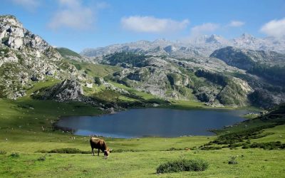 Alojamiento Rural en Asturias: la experiencia de lo auténtico