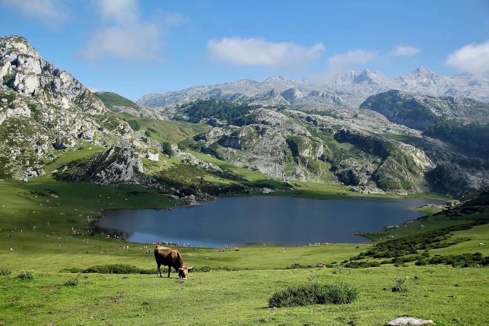Rural Accommodation in Asturias: The Experience of Staying in an Authentic Environment